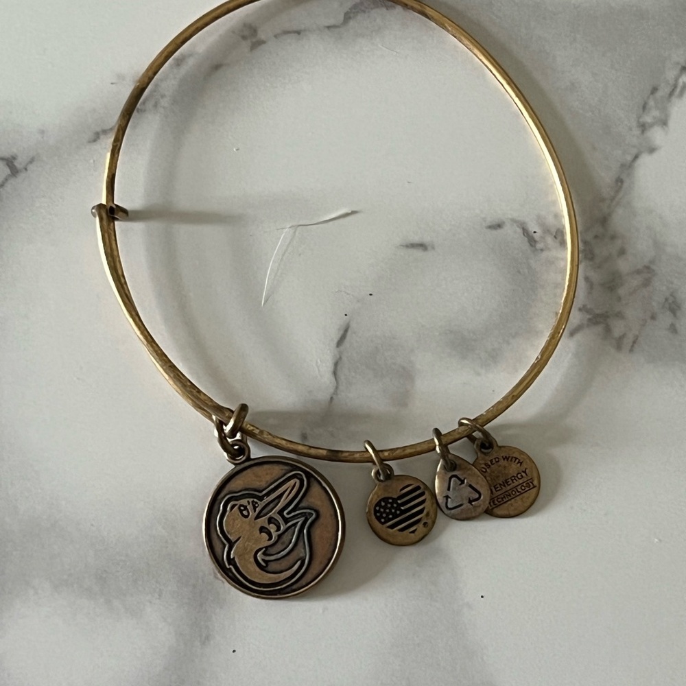 Alex and Ani Gold Charm Bracelet